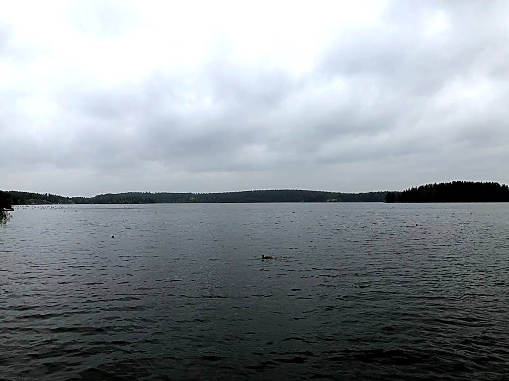 Ensjön, Östergötland