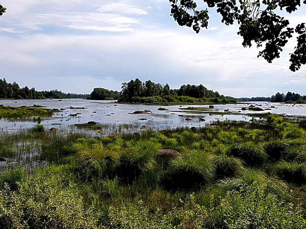 Höö naturreservat