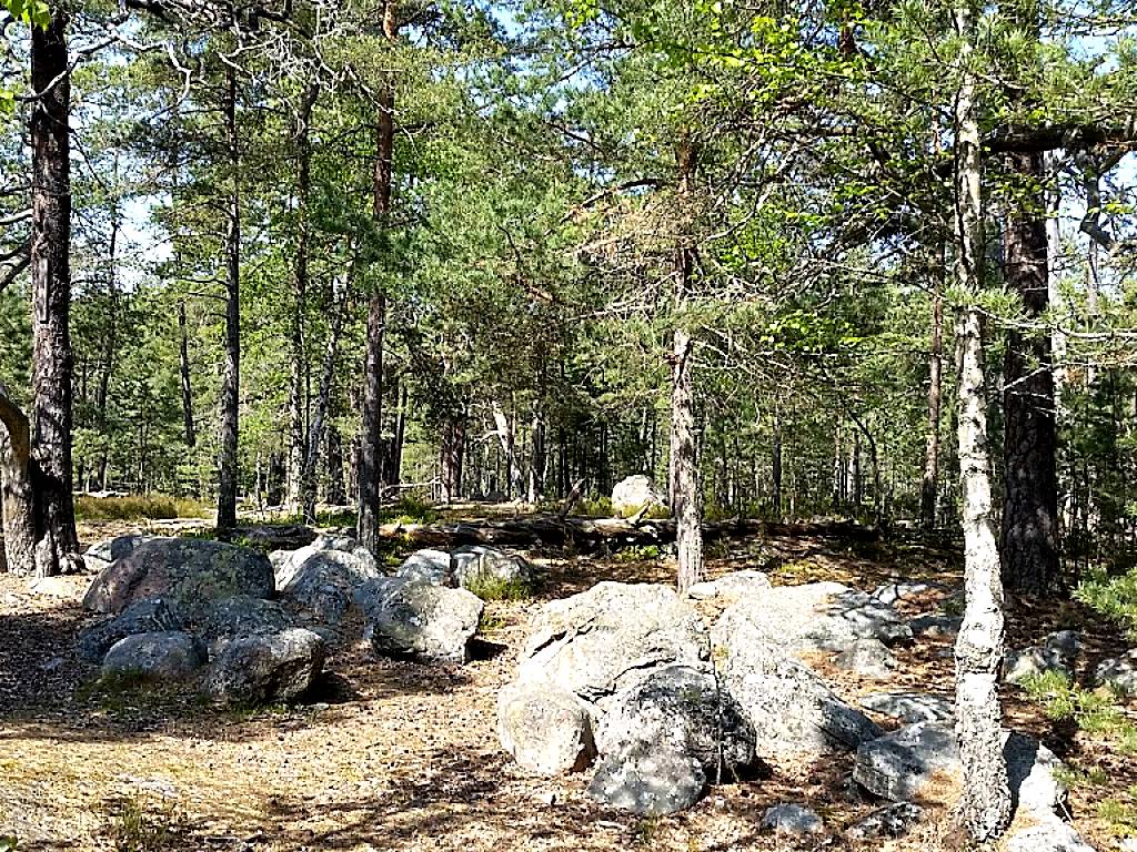Skeviks naturreservat