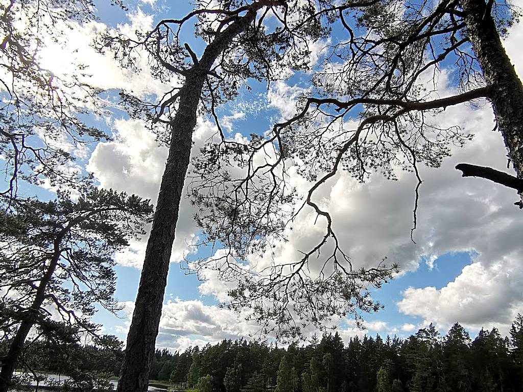 Bergsjön, Uppland