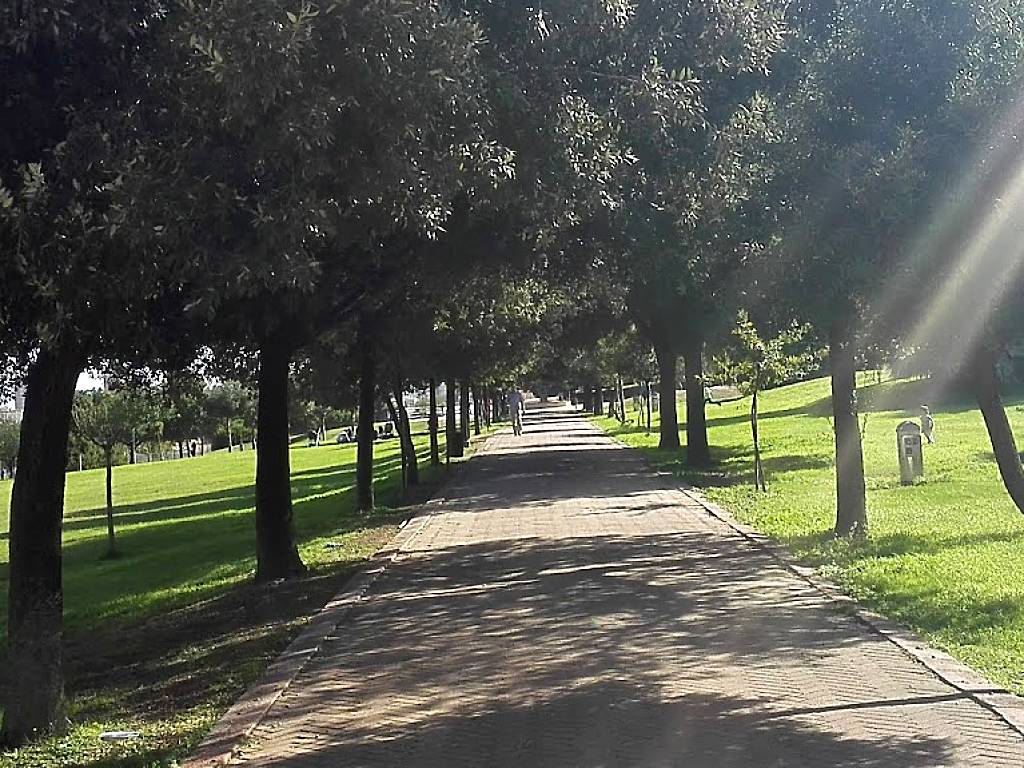 Monte Claro Park