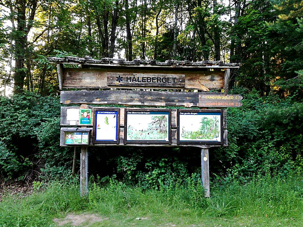 Hålebergets naturreservat