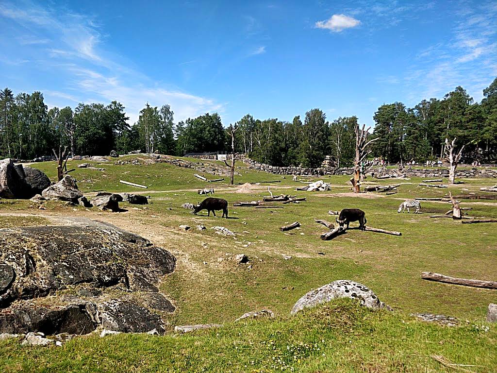 Borås Djurpark