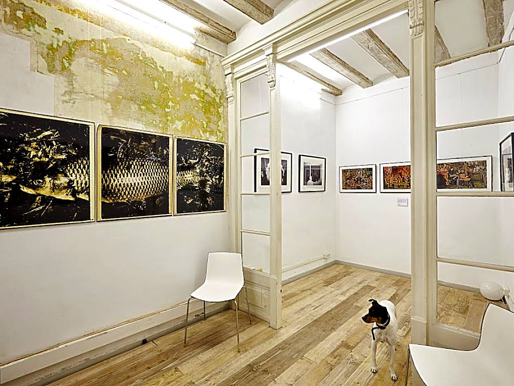 Fousion Gallery
