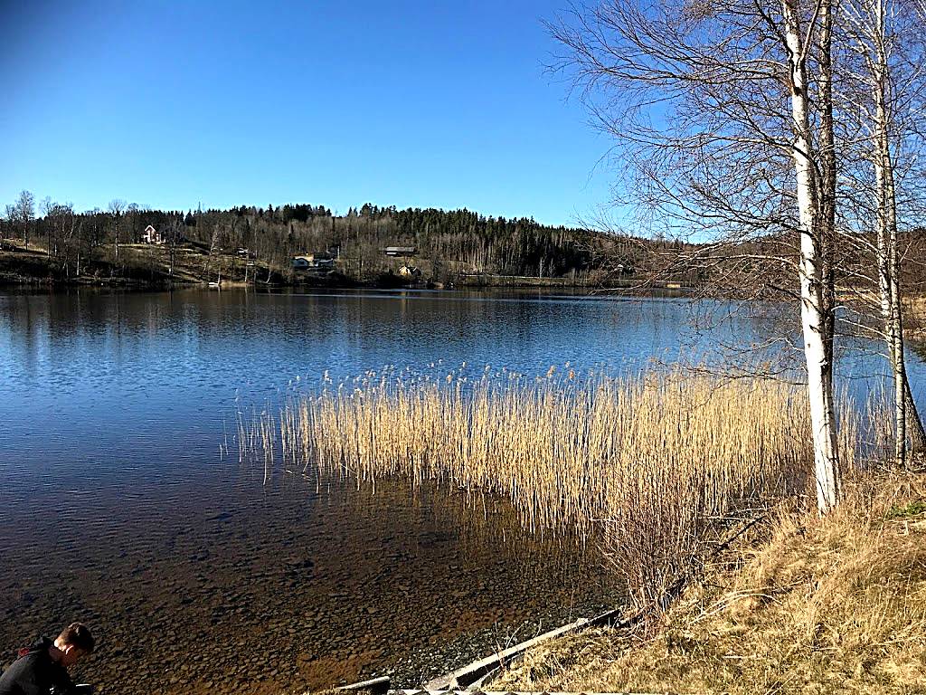 Laxsjön, Dalsland