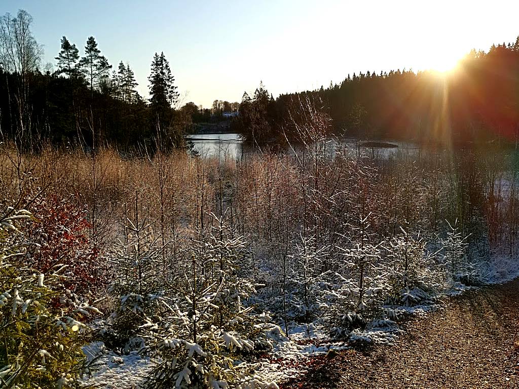 Stora Dalsjön, Västergötland