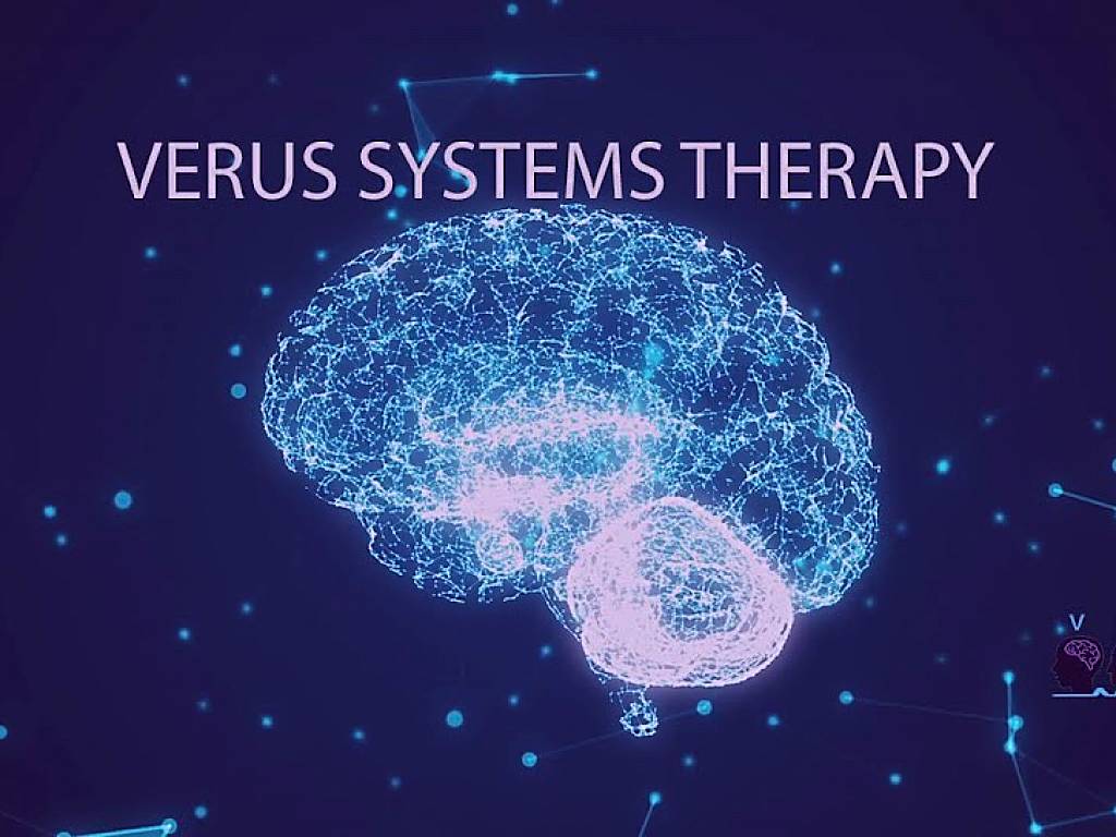 Verus Systems Training