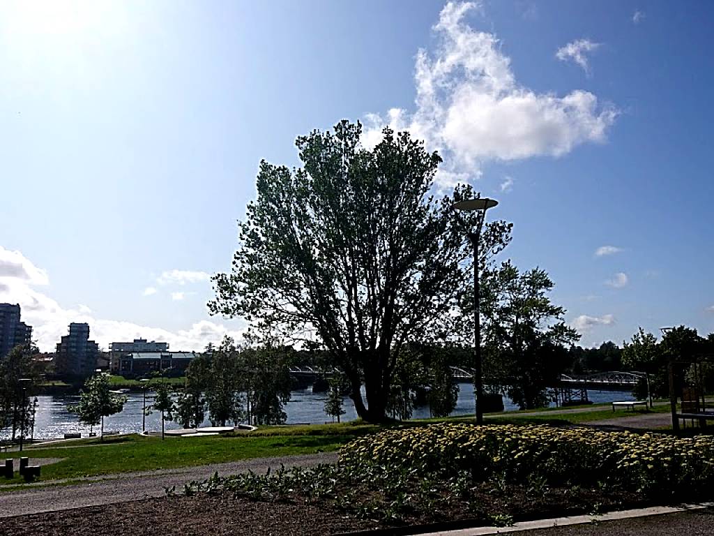 Broparken, Umeå