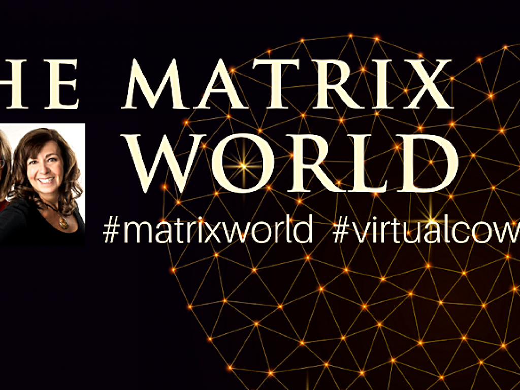 The Matrix World Virtual Co-Working, Coaching, Training