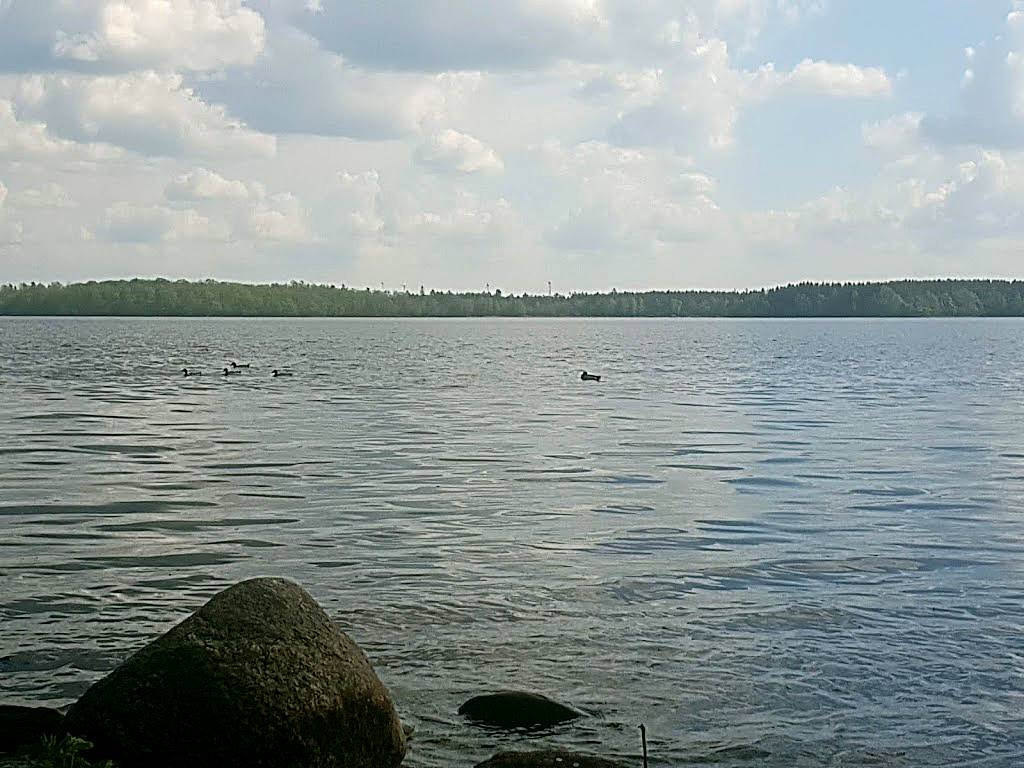 Västersjön, Skåne
