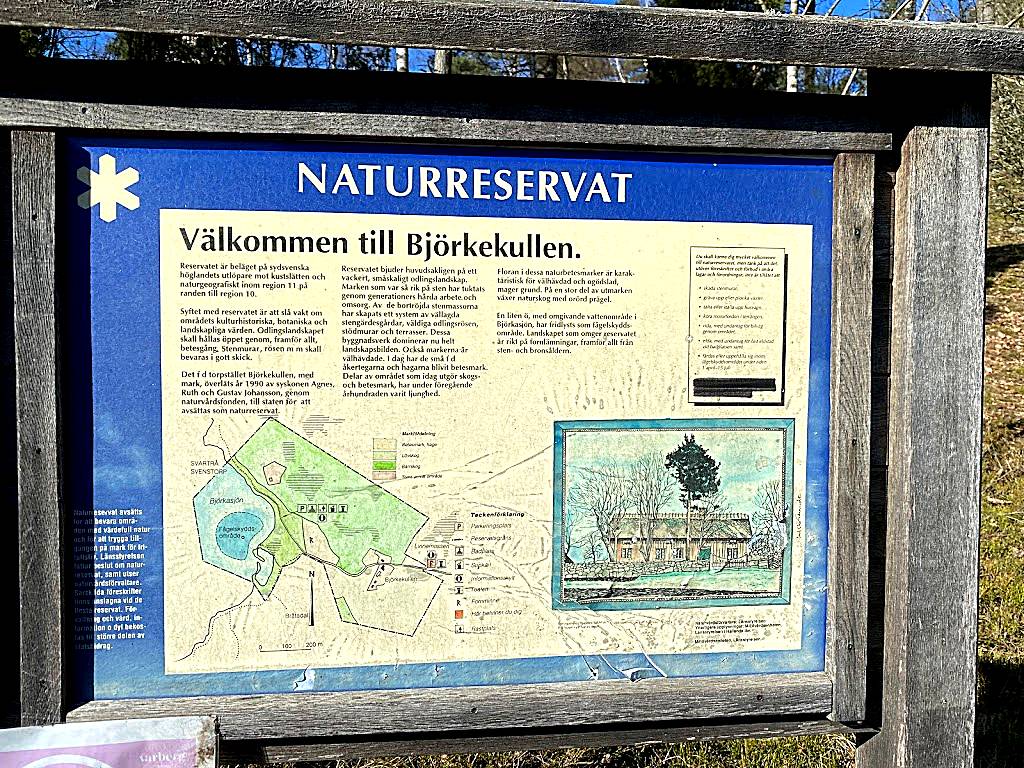 Björkekullens naturreservat