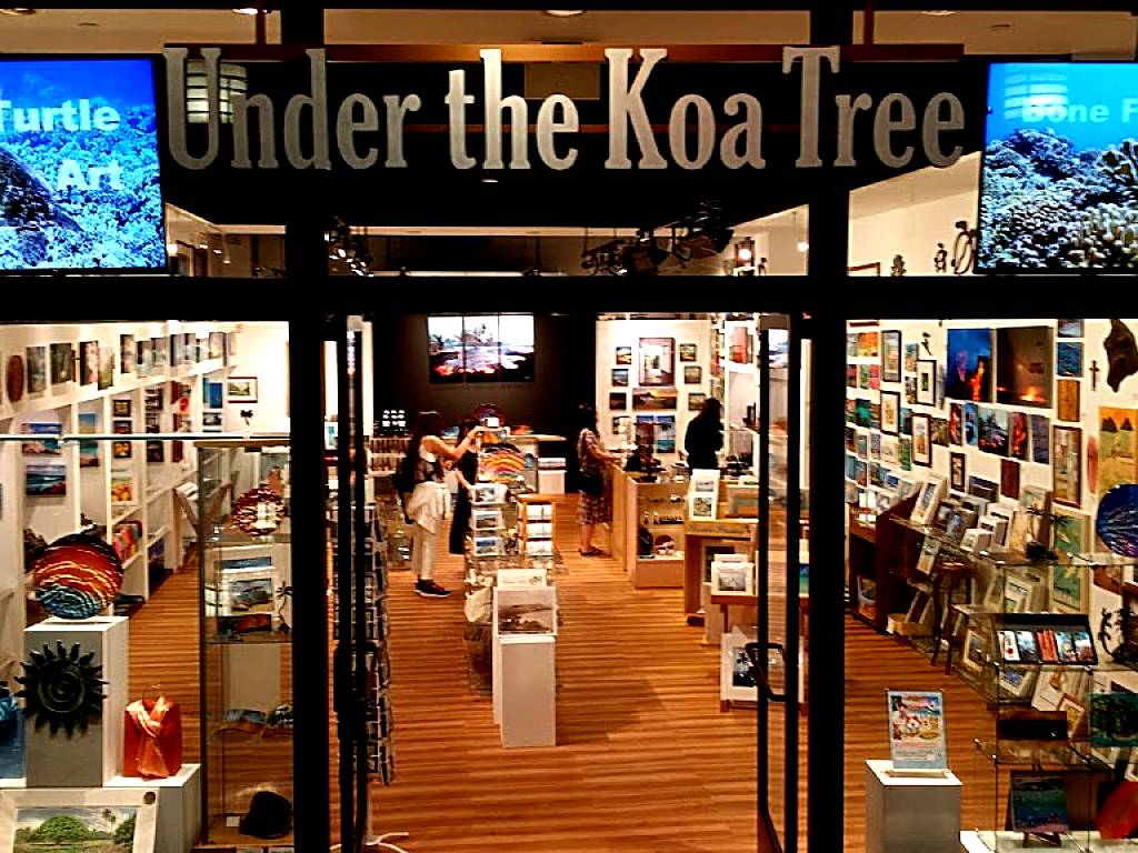 Under the Koa Tree