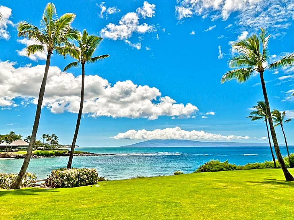 Dani Dooley, Kauai Realtor - Coldwell Banker Island Properties