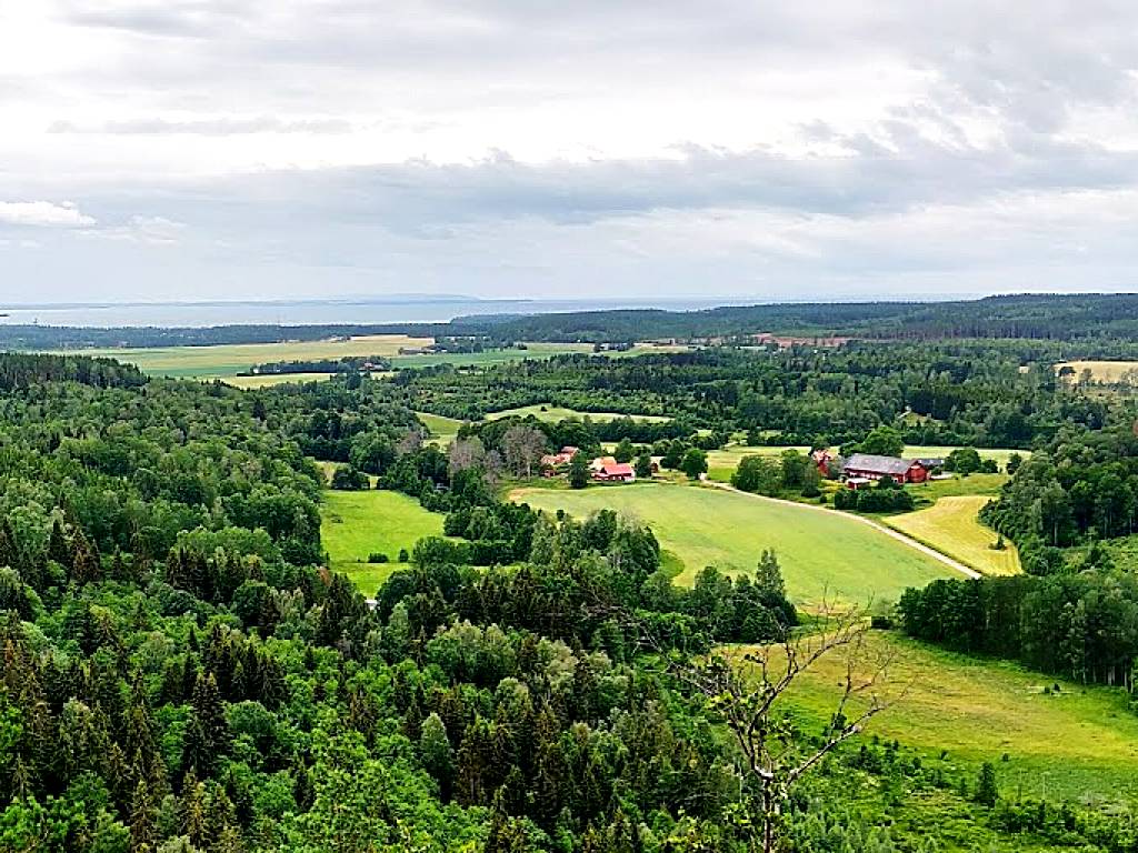 Hålebergets naturreservat