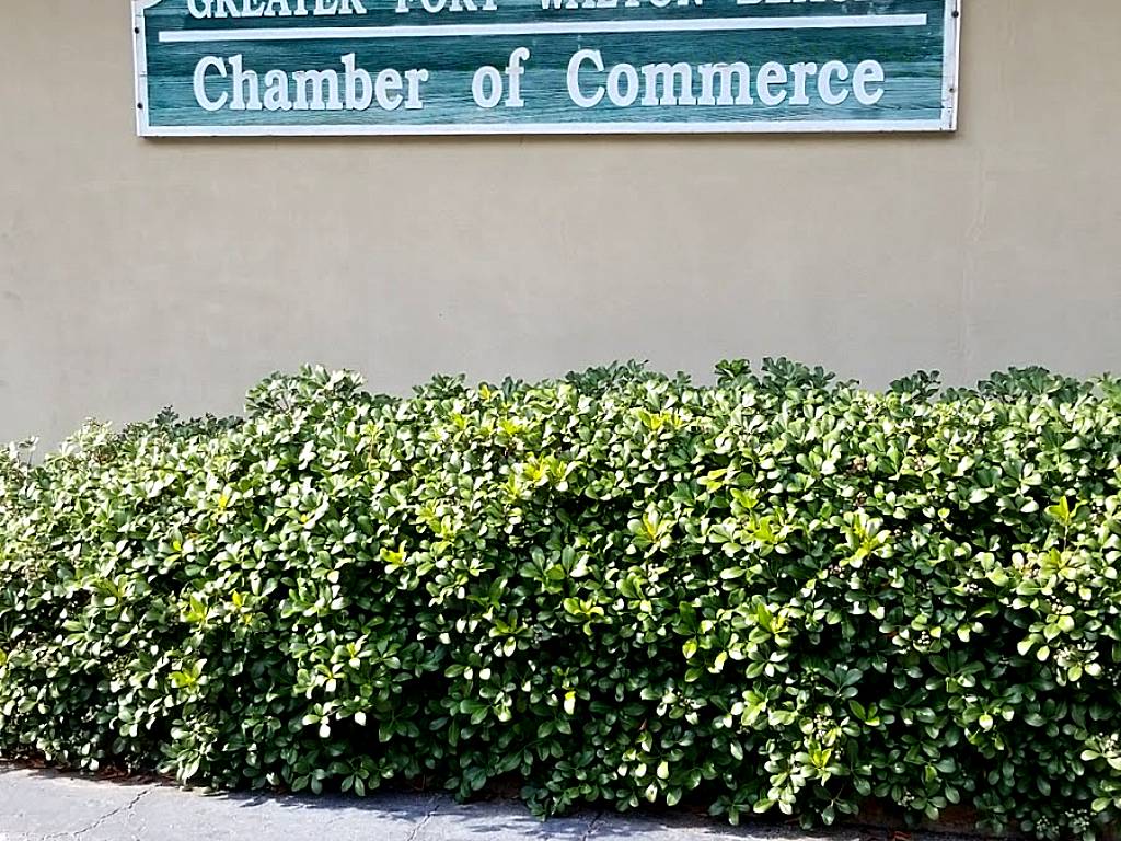 Greater Fort Walton Beach Chamber of Commerce
