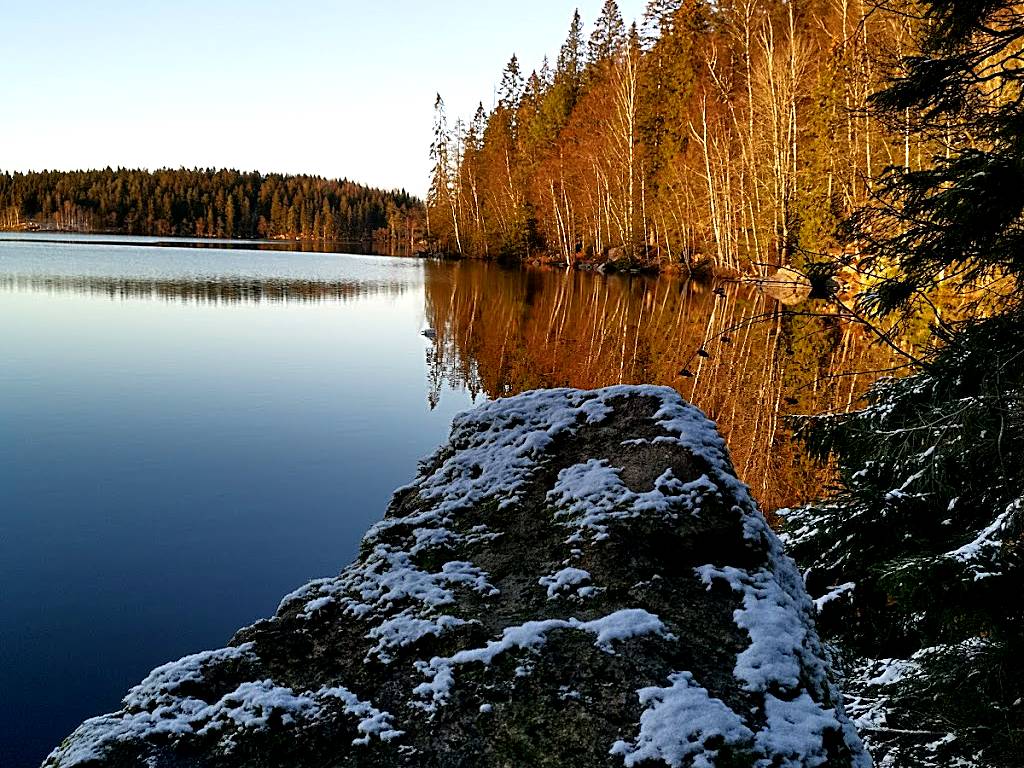 Stora Dalsjön, Västergötland