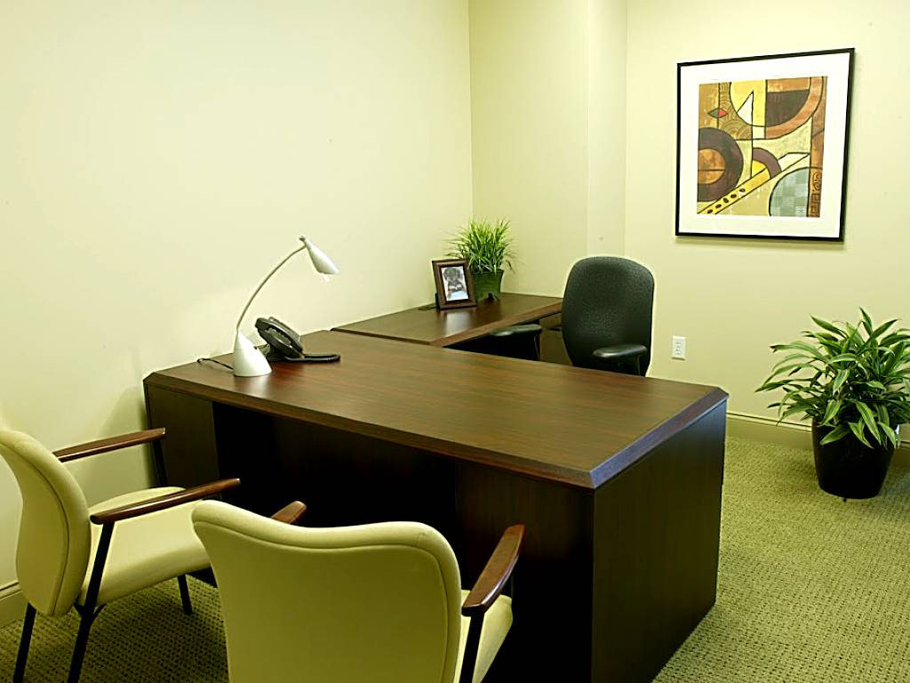 Executive Suites of Baldwin