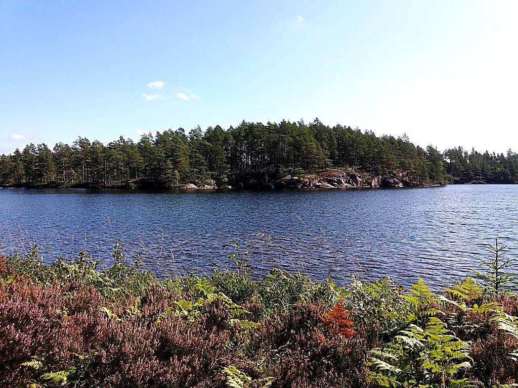 Stora Hammarsjöns badplats