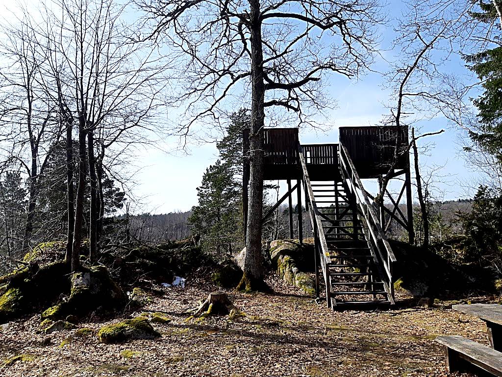Västra Hargs Lövskogar Naturreservat