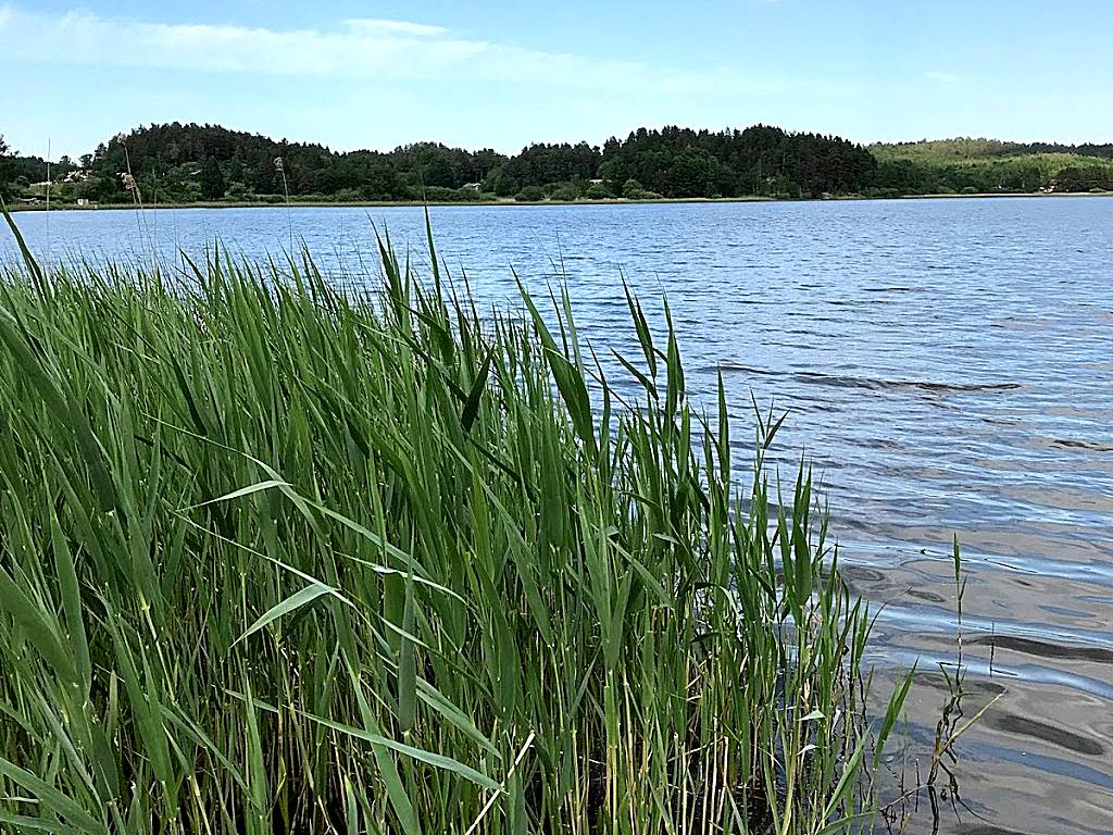 Vimmersjöns Badplats