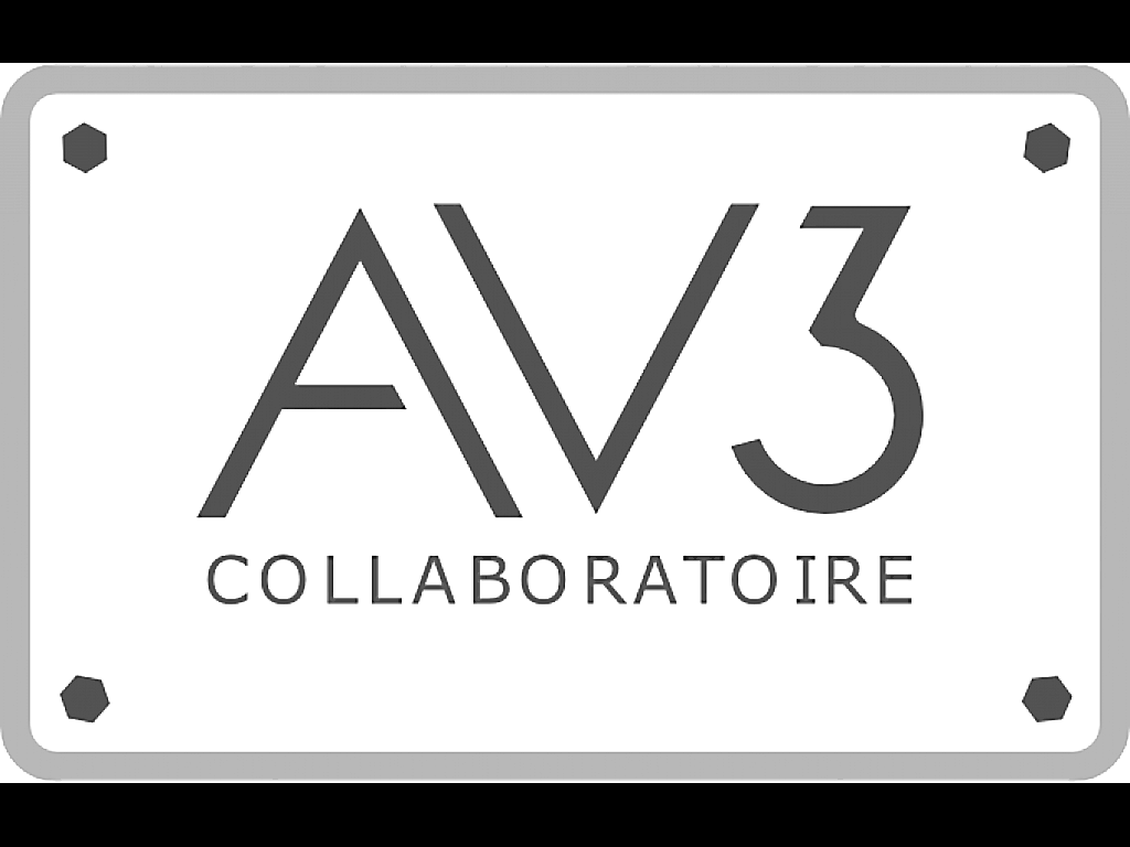 AV3 – Collaboratoire