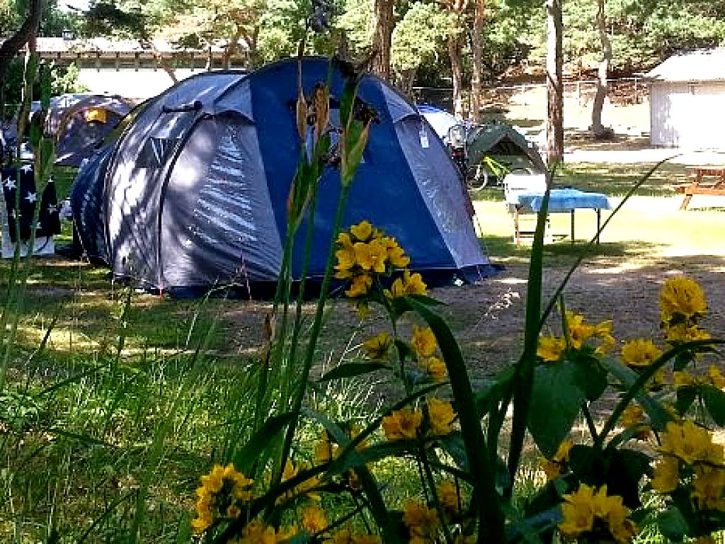 Råbocka Camping