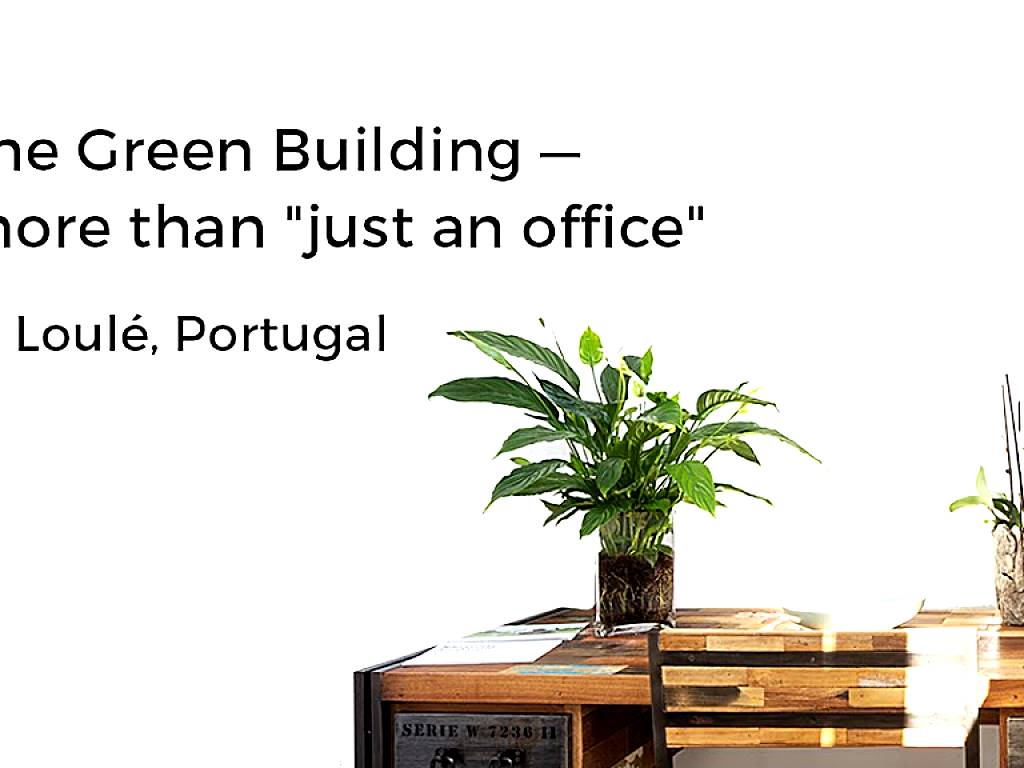 The Green Building