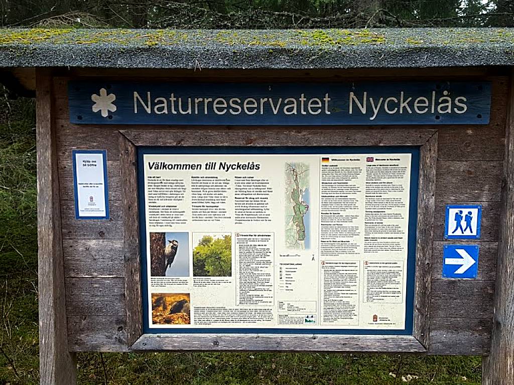 Naturreservatet Nyckelås